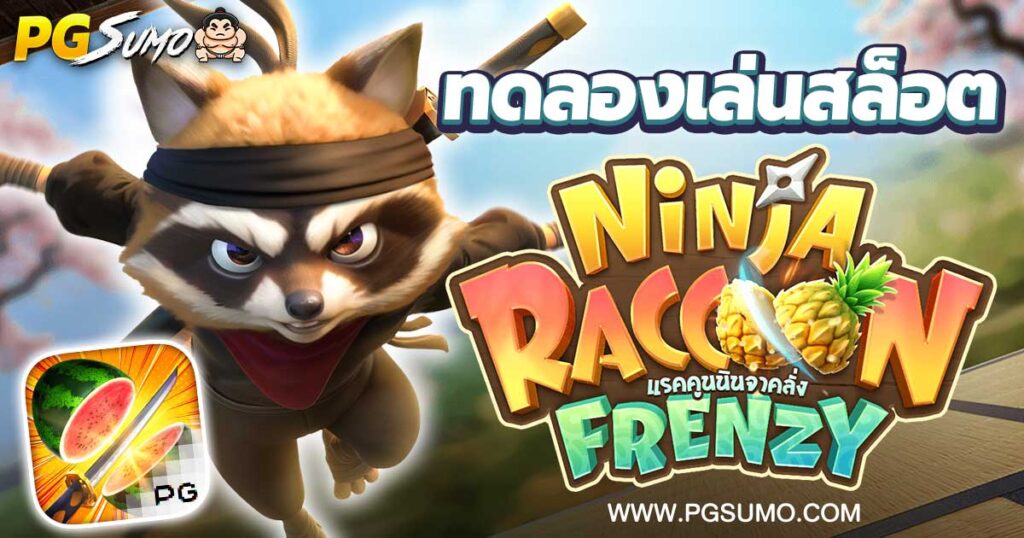 Ninja Raccoon Frenzy_Banner