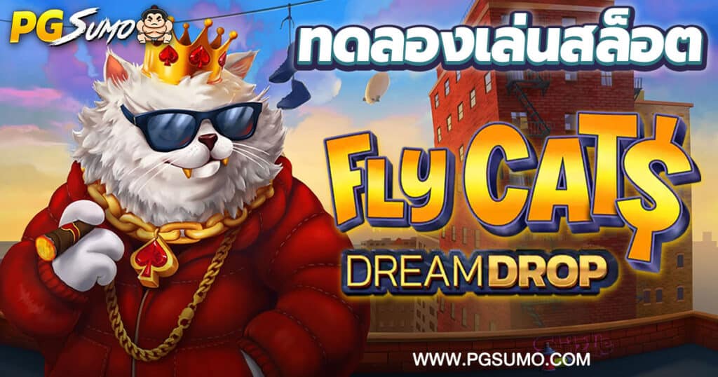 Fly Cats Dream Drop